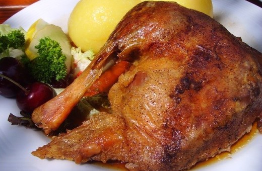 gans
